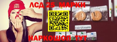 сатива Краснознаменск